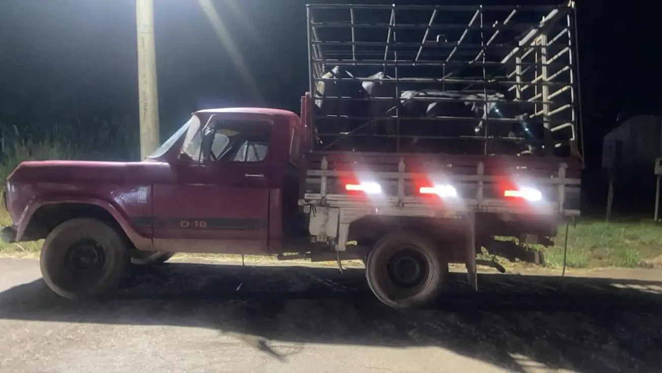PM prende suspeito com cinco cabeças de gado furtado em Dom Aquino