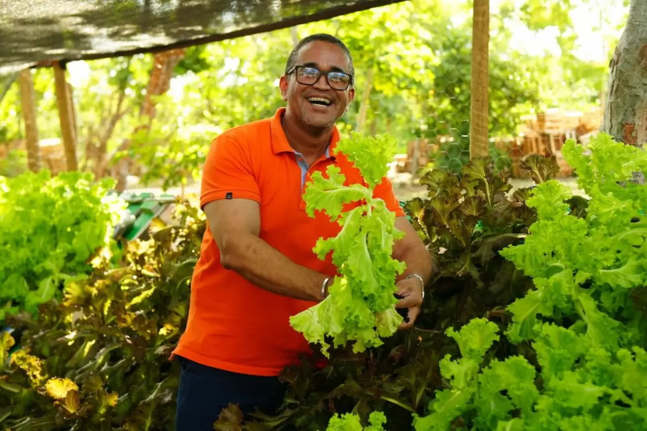 Setasc e Solar implantam horta hidropônica em instituto de Cuiabá
